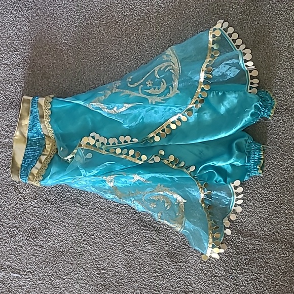 NWT Princess Dress-up Top/Used Pants - Picture 7 of 13